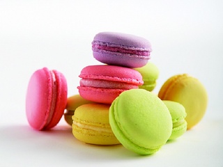 辻調理師専門学校オープンキャンパス特集2の写真