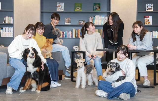 群馬動物専門学校