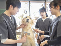 動物総合学科（トリマーコース）学部・学科・コース情報