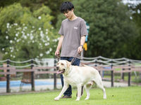 動物総合学科（ドッグトレーナー総合スペシャリストコース）学部・学科・コース情報