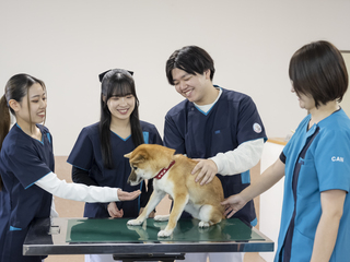 中央動物看護専門学校