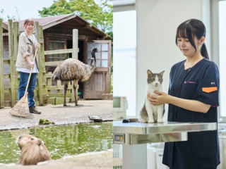 北海道エコ・動物自然専門学校