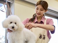 トリマー学部・学科・コース情報