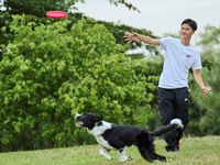 ドッグトレーナー学部・学科・コース情報