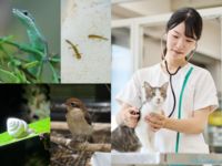 動物医療飼育学科学部・学科・コース情報