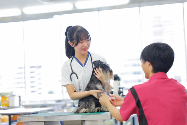専門学校 ちば愛犬動物フラワー学園