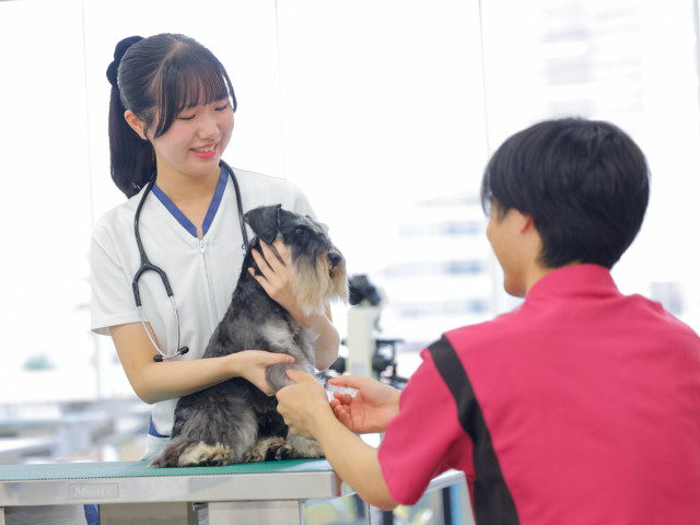専門学校 ちば愛犬動物フラワー学園