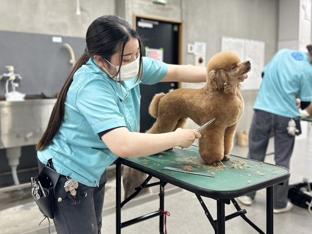 ナンバペット美容学院