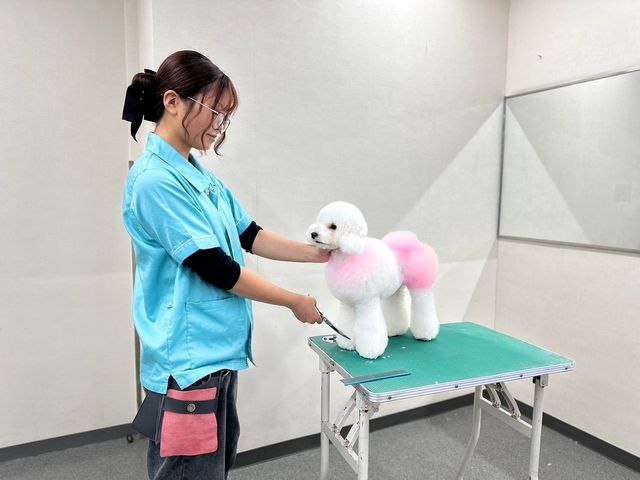 トリマーコース クリエイティブコース クリエイティブコース(1年制)