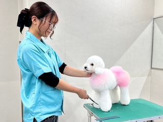  ナンバペット美容学院からのニュース画像[9265]