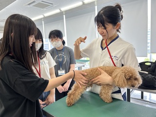 【コース別オープンキャンパス】８/2１(金)の画像