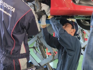 体験実習の画像