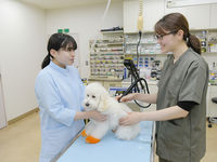 愛玩動物看護学科学部・学科・コース情報