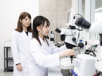 理学部学部・学科・コース情報