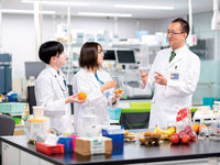 薬学部学部・学科・コース情報