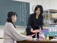 学校教育課程学部・学科・コース情報