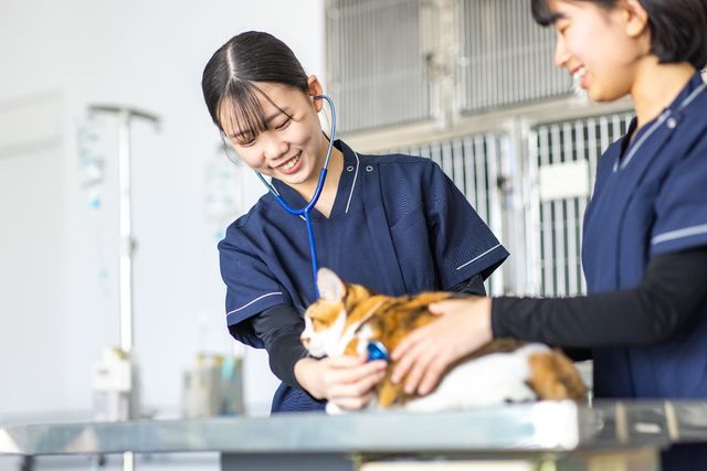 国際動物看護専門学校