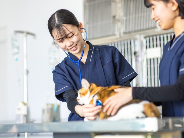国際動物看護専門学校