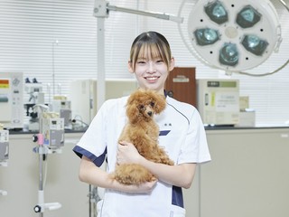 大宮国際動物専門学校