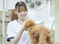 愛玩動物看護学科学部・学科・コース情報