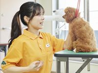 美容･デザイン学科学部・学科・コース情報
