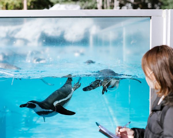 獣医学部 動物応用科学科 人と動物の理想の関係づくりを担う