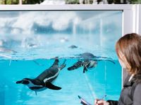 動物応用科学科学部・学科・コース情報