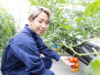 食料産業学科学部・学科・コース情報