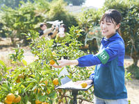 フィールド自然学科学部・学科・コース情報