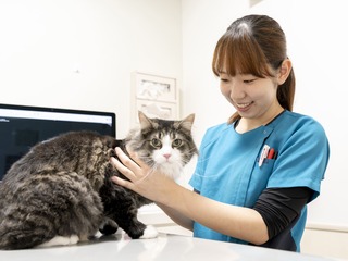 学部・学科・コース情報