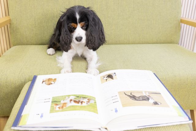 施設・設備のポイント 写真3