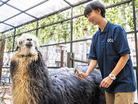 動物園・動物飼育専攻学部・学科・コース情報
