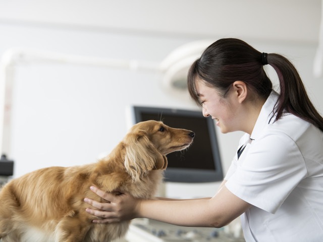 愛玩動物看護学科 動物に優しく、飼い主様に寄り添い、獣医師に信頼される心と命をつなぐ動物看護師へ