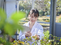 漢方薬学科学部・学科・コース情報