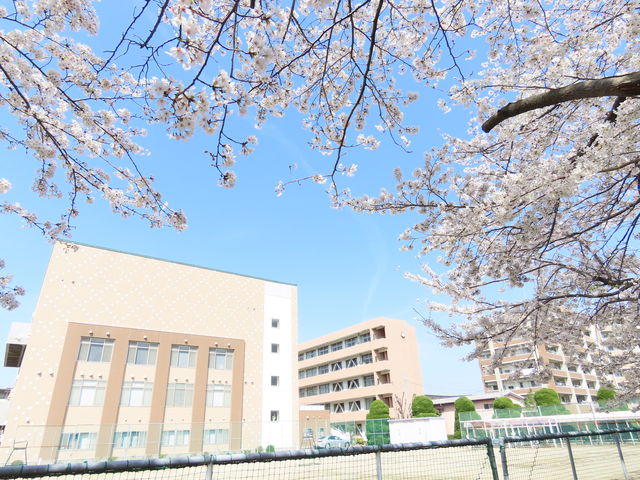 精華女子短期大学
