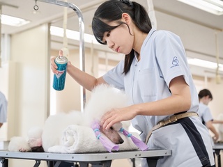 注目のカリキュラム