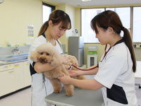 愛玩動物看護学科学部・学科・コース情報