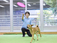 ドッグスペシャリスト学科学部・学科・コース情報
