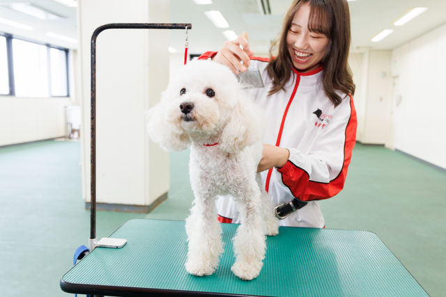 施設・設備のポイント 写真1