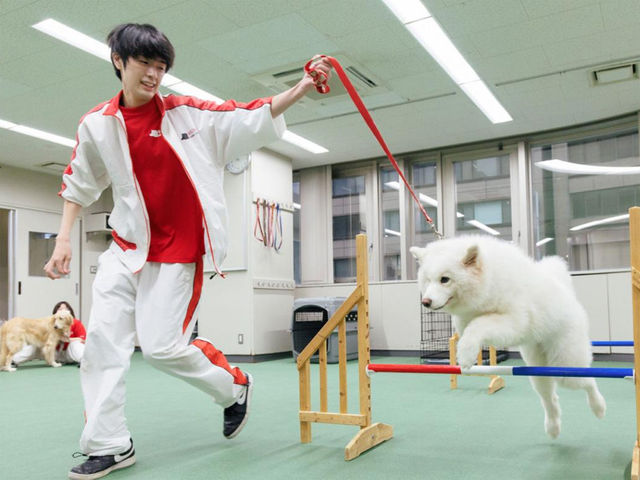 動物管理学科 ドッグトレーニングコース しつけ・ドッグトレーニングを通して、飼い主様と愛犬とのドッグライフをサポートします！