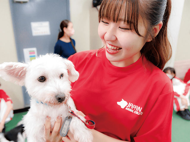 動物管理学科 ペットショップ＆セラピーコース ワンちゃんをはじめとした、ペットについての幅広い知識が身につけられます！ペットショップでの仕事に憧れるあなたに、ピッタリの総合学習コースです！