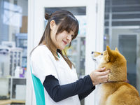 動物看護師学科学部・学科・コース情報