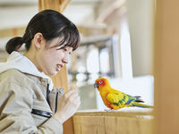 動物飼育学科学部・学科・コース情報