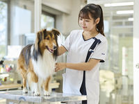 愛玩動物看護師コース学部・学科・コース情報