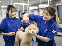 愛犬総合学科学部・学科・コース情報