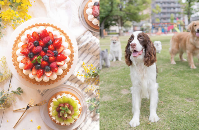 専門学校 ビジョナリーアーツ