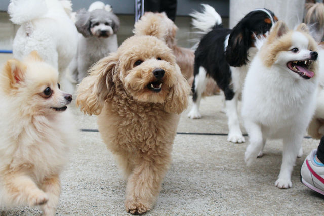 施設・設備のポイント 写真2