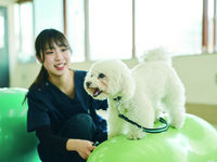 動物理学療法専攻学部・学科・コース情報