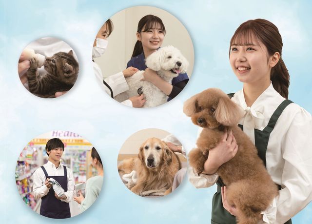 ヤマザキ動物看護専門職短期大学