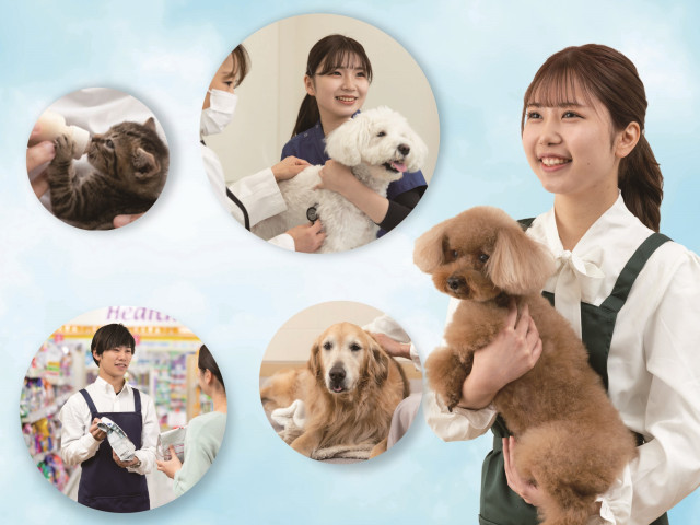 ヤマザキ動物看護専門職短期大学